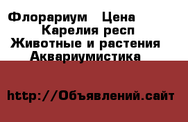 Флорариум › Цена ­ 450 - Карелия респ. Животные и растения » Аквариумистика   